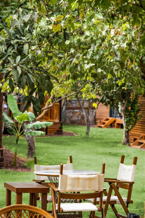 Dolce Vita Luxury Bungalows Bodrum Extérieur photo